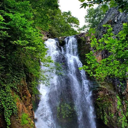 Hotel Green Thermal Yalova (Yalova)