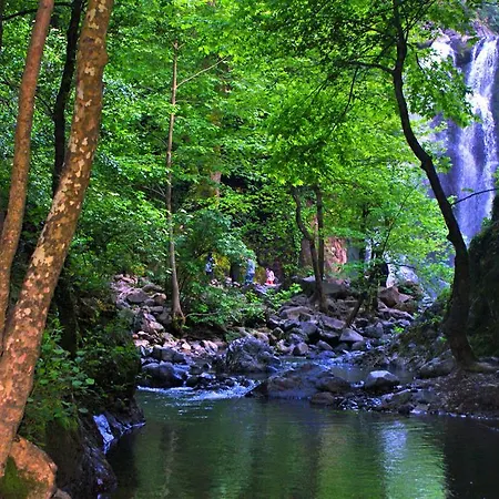 Green Thermal 3* Yalova (Yalova)