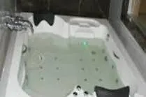 Green Thermal Hotel 3*